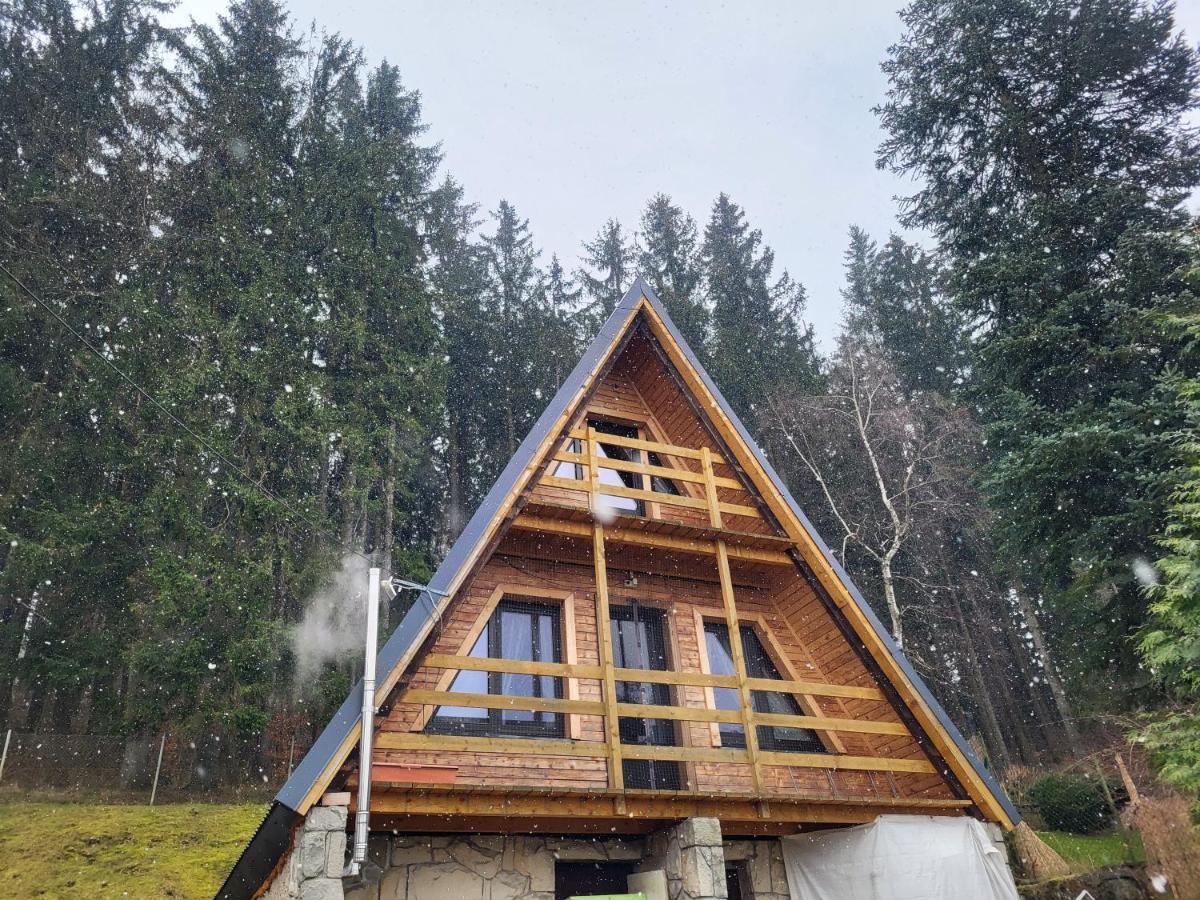 O.W.S. Strzecha Hotell Duszniki Zdrój Exteriör bild